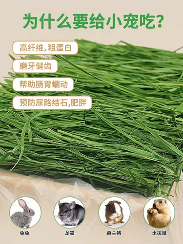 4送1御宅猫5A头茬烘干精品提摩西干草500克兔子龙猫荷兰猪牧草