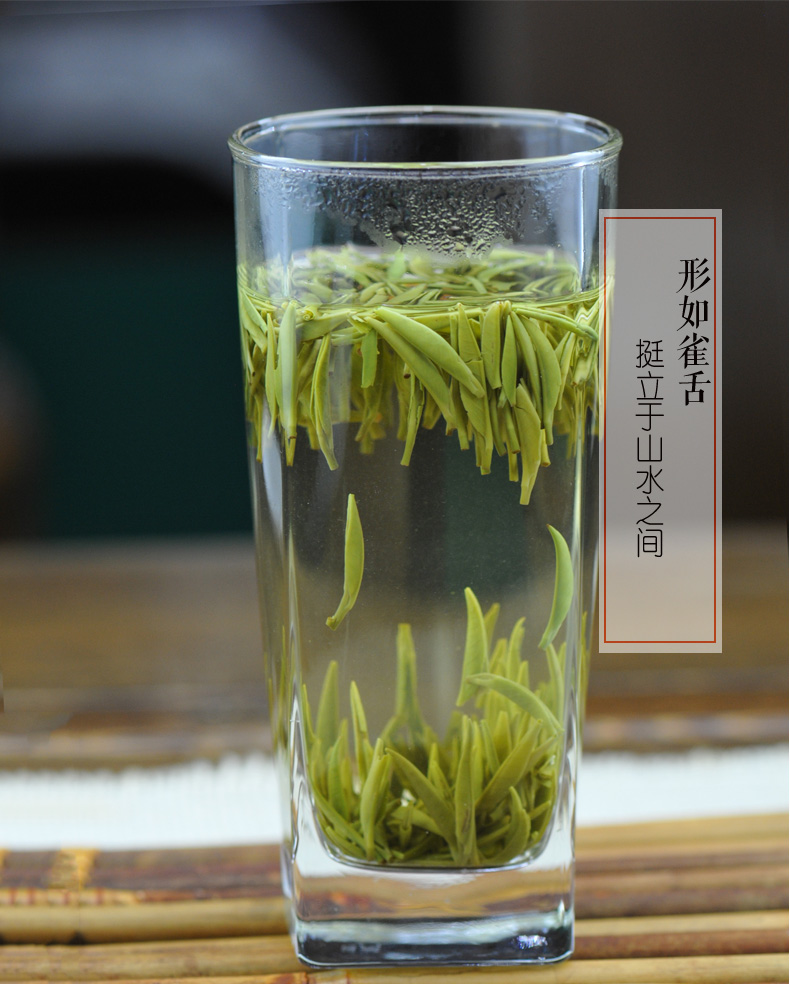 雀舌茶特级100三山七绝自秦巴山蒙顶峨眉山川人川茶川韵五色之一