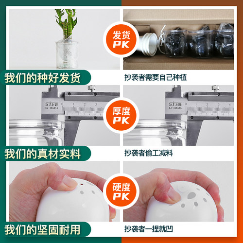 绿植办公室内花卉小盆栽办公室绿萝多肉水培植物好养发财树富贵竹 - 图0