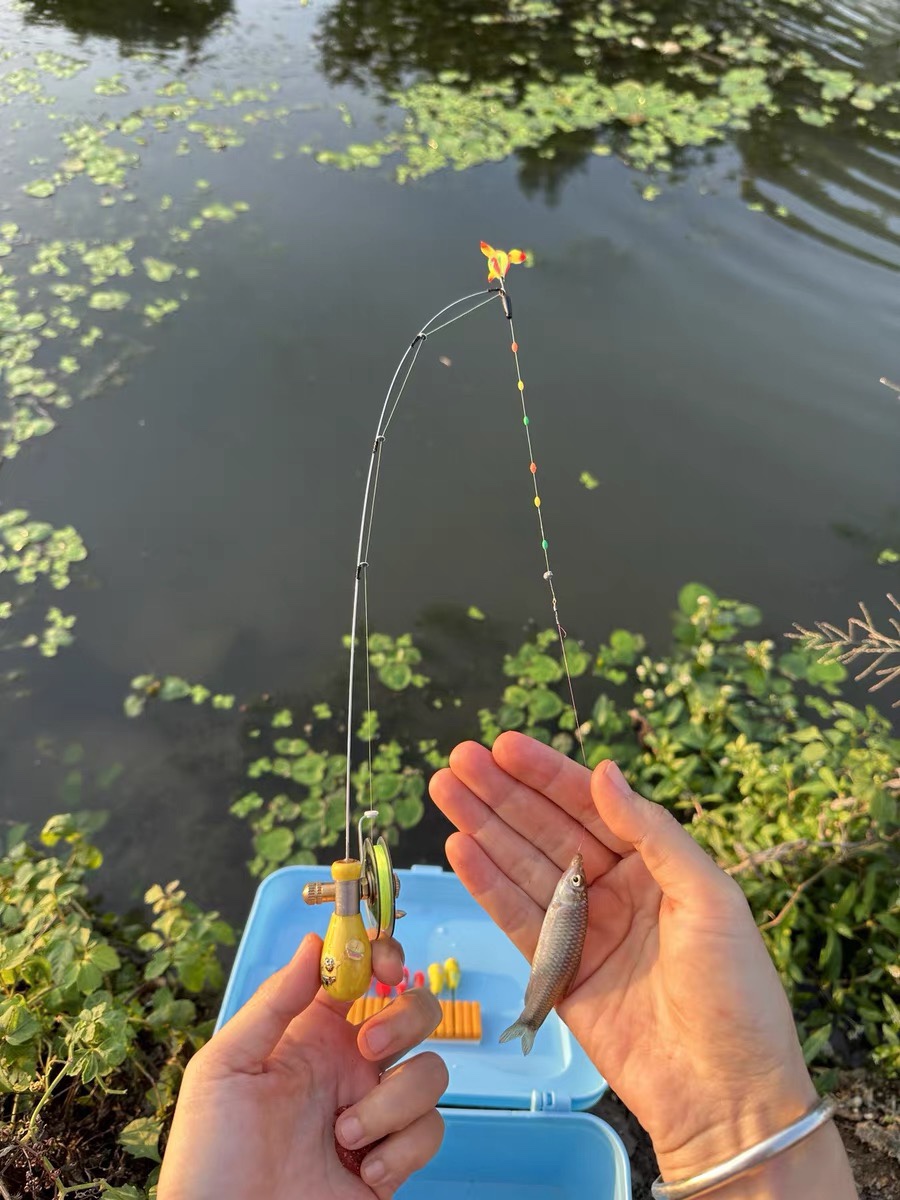 网红小物钓竿超短迷你袖珍便携鳑鲏白条鱼竿带轮冰钓竿虾竿八工竿 - 图1