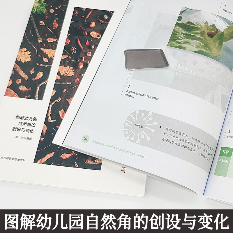 正版角落里的生机春夏篇+秋冬篇2册图解幼儿园自然角的创设与变化胡洁著12个主题72个活动案例幼儿科学素养环境创设大夏书系