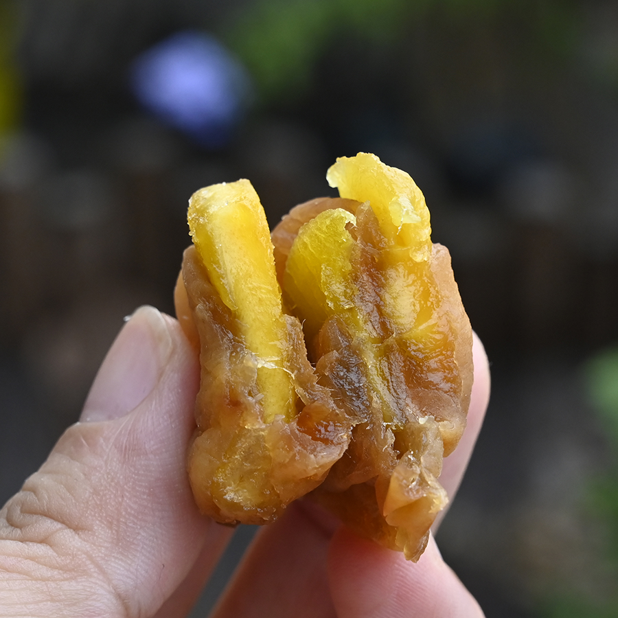 六坊厝新品梅有芒果干果脯蜜饯孕妇零食果干