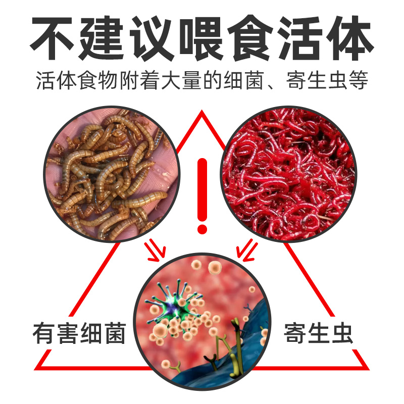 六角恐龙鱼饲料东方蝾螈鱼食专用六角龙鱼娃娃鱼粮下沉型 - 图2