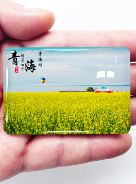 青海旅游景点冰箱贴茶卡盐湖塔