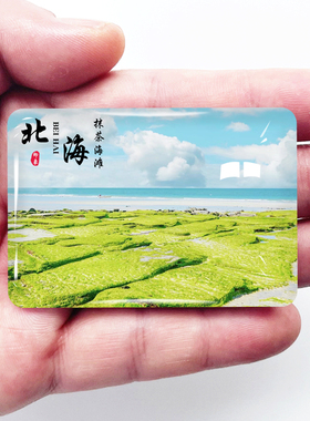 广西北海旅游冰箱贴北海银滩