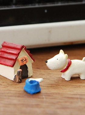 拍摄道具生日礼物多肉微景观摆件