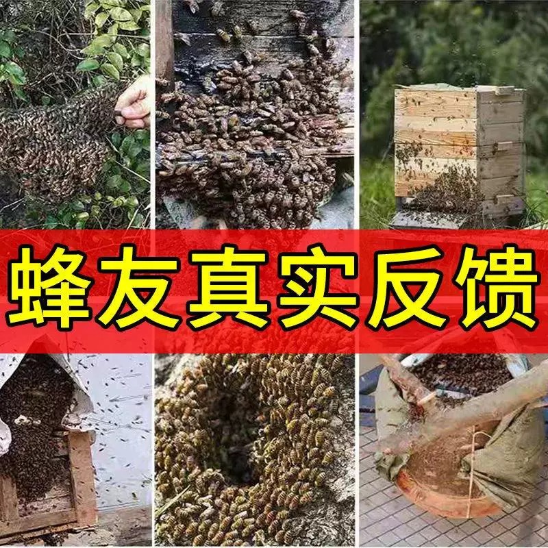 蜂蜡诱蜂用诱蜂膏神器野外用中土蜂新手养蜂专用工具神奇招引蜂水-图1