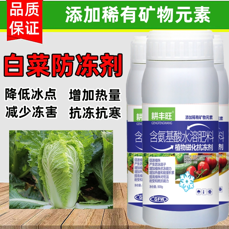 白菜防冻剂白菜防寒抗冻剂白菜专用叶面肥解冻害抗低温白菜防冻液 - 图1