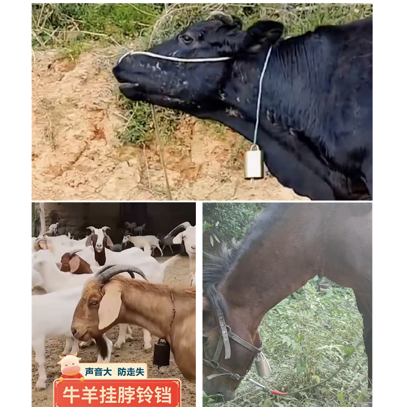 牛羊铃铛超响大音大号加厚防盗驴狗铃铛双芯 防走丢山羊脖子挂铃,淘宝优惠券,粉丝福利购,淘宝优惠卷
