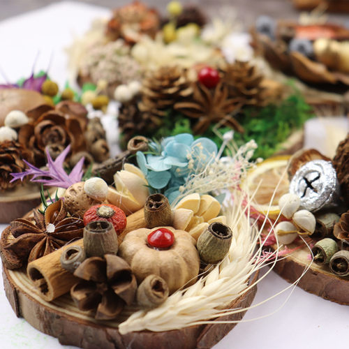 天然干花干果植物磁力冰箱贴种子装饰手工DIY活动团建文创材料包 - 图0