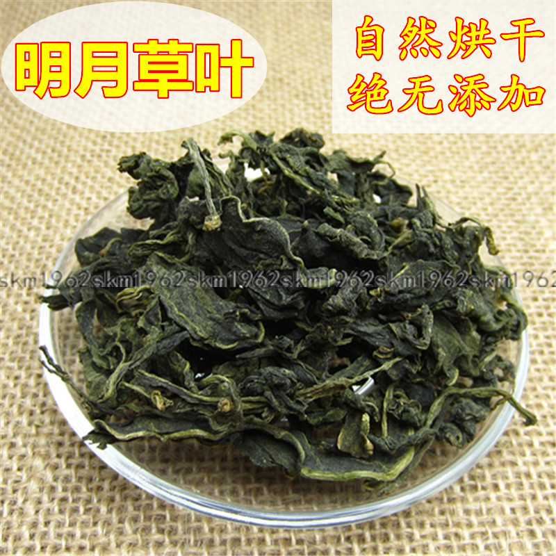 250g克包邮 明月草茶 明日草 富贵菜 白背三七 金鸡毛草 非500g - 图0