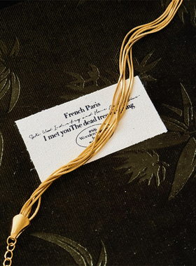 ins博主同款多层蛇骨钛钢手链