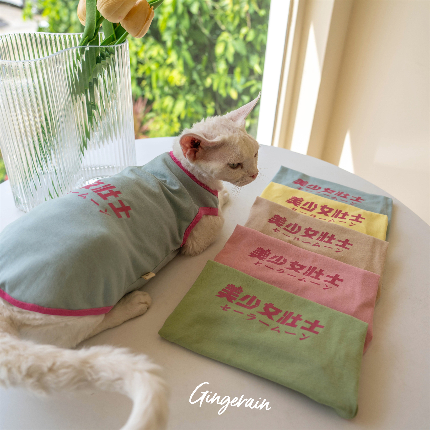 GINGERAIN 无毛猫衣服斯芬克斯德文纯棉背心夏季原宿风美少女壮士 - 图0