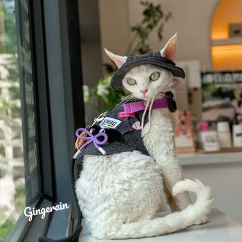 GINGERAIN ຕັ້ງແຄ້ມນອກແບບ Cowboy Cat Harness Leash Set German Hairless Cat Vest