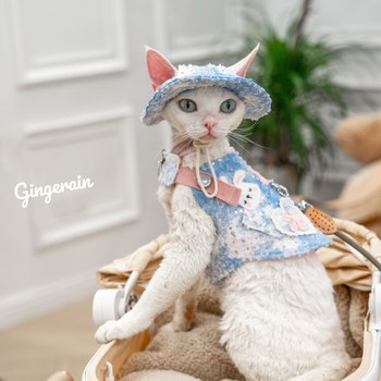 GINGERAIN ຕັ້ງແຄ້ມນອກແບບ Cowboy Cat Harness Leash Set German Hairless Cat Vest