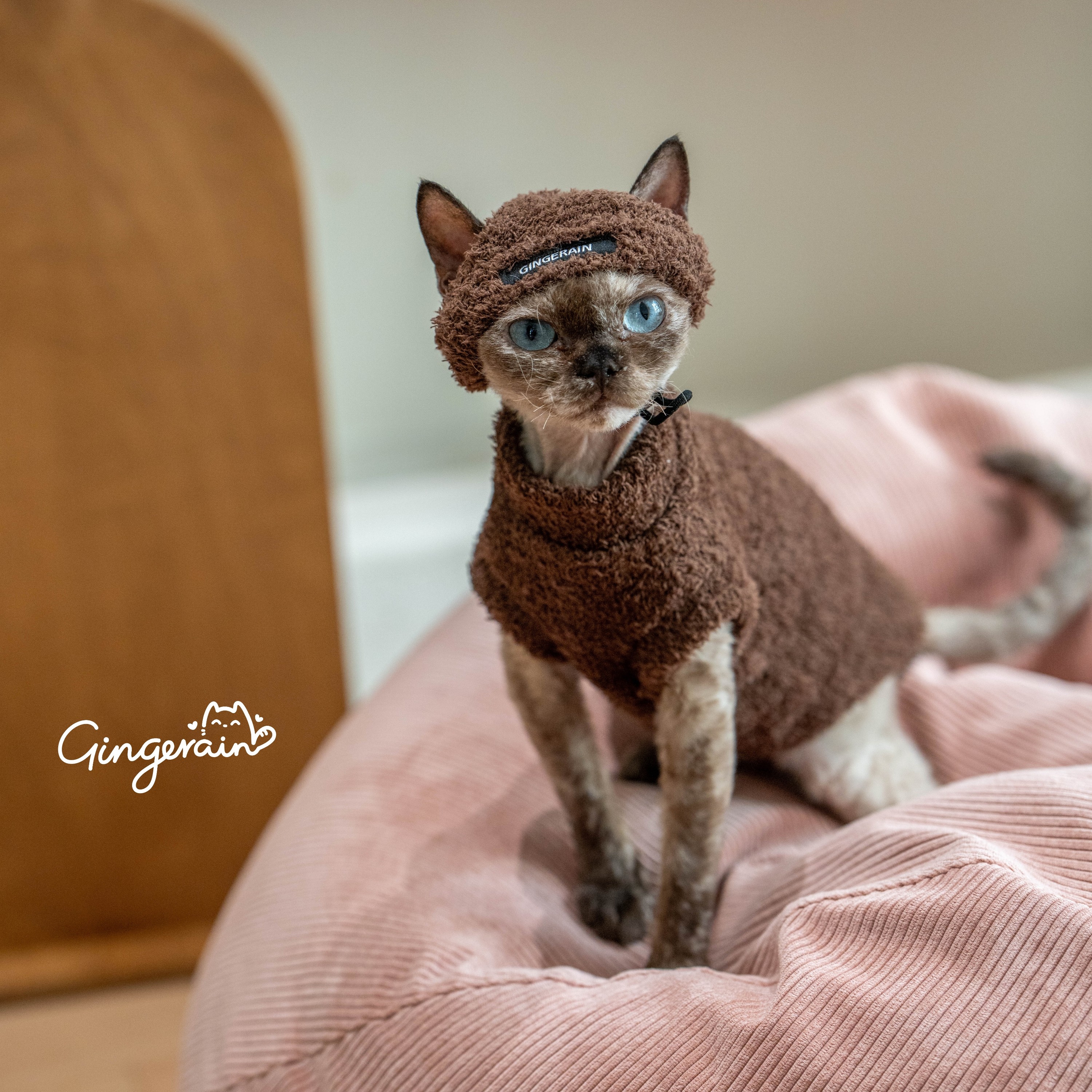 GINGERAIN  泰迪保暖帽子德文猫衣服无毛猫简约套装保暖卫衣,淘宝优惠券,粉丝福利购,淘宝优惠卷