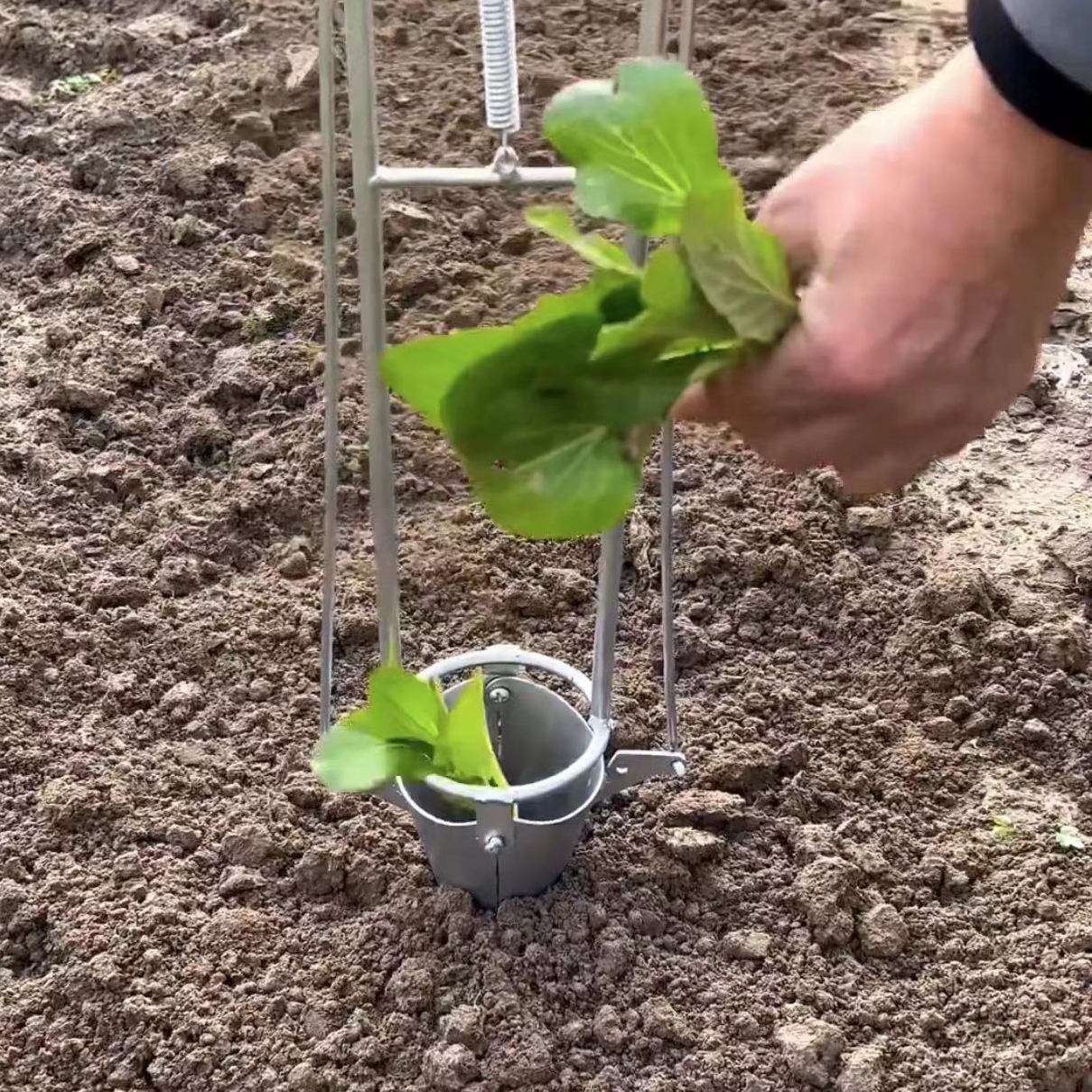 打洞打坑栽苗神器农用玉米烤烟草莓西瓜栽苗器移栽器园艺种植工具 - 图3