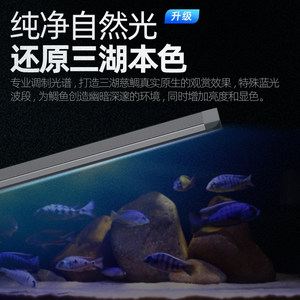 吉印三湖慈鲷鱼灯鲷鱼观赏鱼专用发色灯蓝色增艳专业防水灯led灯