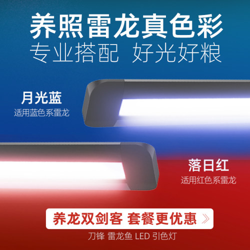 吉印雷龙鱼饲料阿萨姆眼镜蛇巴卡铅笔鱼七彩雷龙幼成雷龙专用鱼粮 - 图3