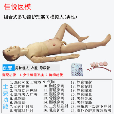 心肺复苏模拟人 CPR急救护理模型 心肺复苏模型 人工呼吸急救假人 - 图0