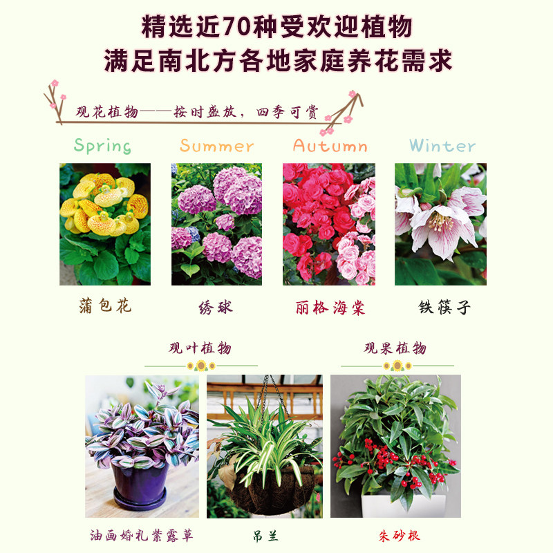 【官方正版】零基础阳台养花 家庭园艺植物养护室内绿植阳台养花花卉家居植物园艺生活养护技巧花语宜忌 全年花历 病虫害防治