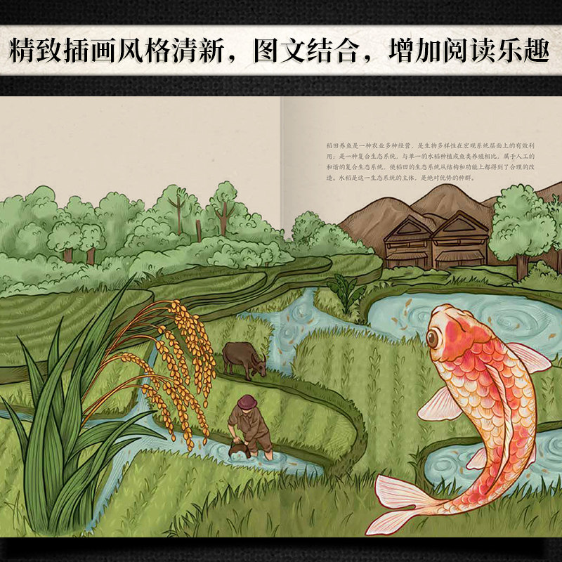【官方正版】食日谈 餐桌上的中国故事 人类学到文化史在生与灭和平与战争现实与神话科学与宗教之间洞察农业文明和人类的共同演化