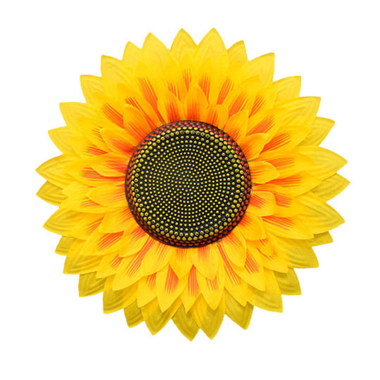 Реквизит детского сада для спортивных встреч с цветами для танцев