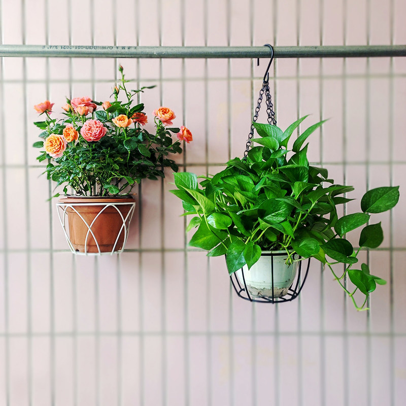 加粗链阳台悬挂式花盆挂架铁艺吊篮绿萝吊盆花架高深花盆垂吊篮子,淘宝优惠券,粉丝福利购,淘宝优惠卷