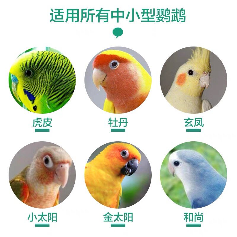 凡赛尔鹦鹉幼鸟雏鸟奶粉 A21.A19鹦鹉BB奶粉 鸟食饲料,淘宝优惠券,粉丝福利购,淘宝优惠卷