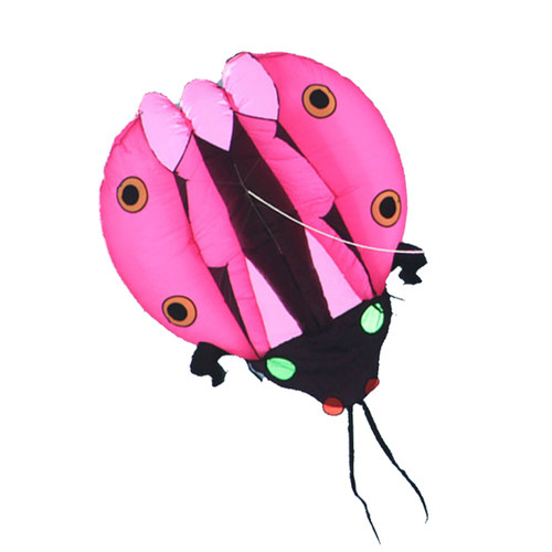 潍坊马老四风筝软体瓢虫风筝大型软体成人款风筝 - 图3