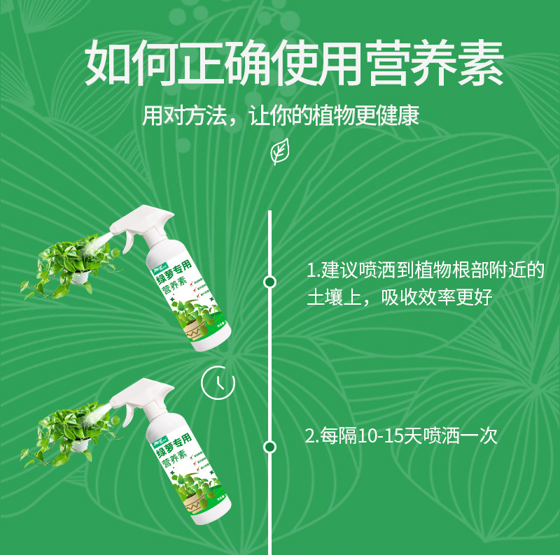 绿箩专用营养液肥花卉水培植物绿箩室内家用盆栽肥料免稀释 - 图2