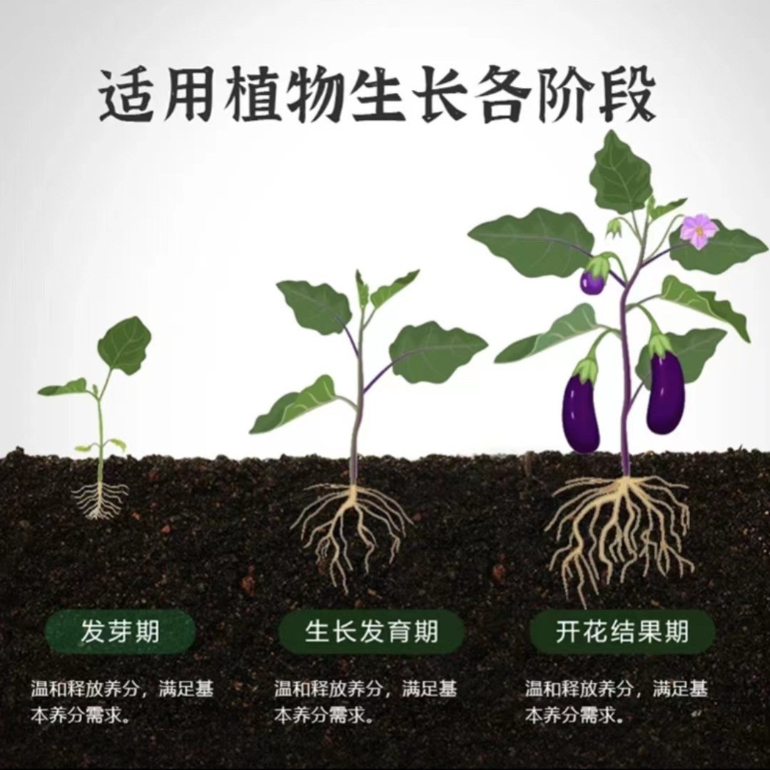 植物营养棒缓释肥料盆栽绿植通用型家用花卉促开花绿叶长效营养片-图1