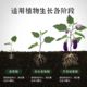 Plant nutrition rod Slow -release fertilizer Potted green plant universal household flower promoting flowering green leaves long -acting nutrition tablets