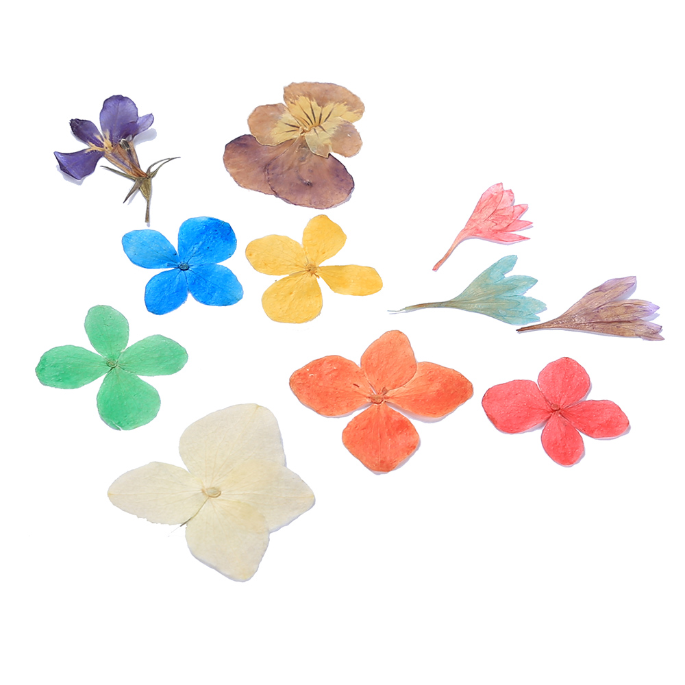 溢青格diy材料绣球花干花永生花押花水晶滴胶手镯饰品真花素材 溢青格 淘优券