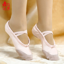 Sansha Dance Shoes Cloth Ladies Style Soft Bottom Adult Cat Paw Shoes Children Canvas Yoga Ballet Dancer Dance Shoes Kid Practice Shoes