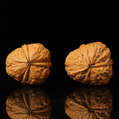 文玩核桃把玩铁核桃野外生三棱正奔蛤蟆头超大粗筋金蟾疙瘩包磐 - 图1