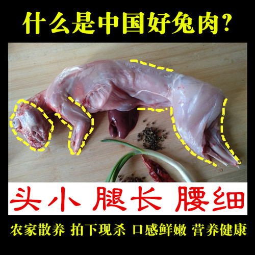 新鲜兔骨肉泥生骨肉猫咪狗狗兔肉泥整只兔子肉绞泥生食宠物主湿粮 - 图2