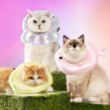 Yuanzhang Meow 丨 Кот Элизабет Круг Мягкая кошка размножающаяся шея