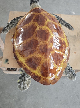 111厘米仿真海龟模型纯手工摆件玻璃钢材质