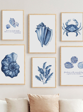 Watercolor Blue Coastal Sea Creatures Posters Octopus Conch