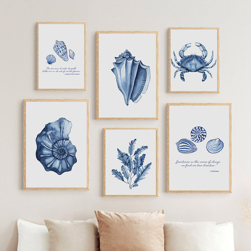 Watercolor Blue Coastal Sea Creatures Posters Octopus Conch - 图1