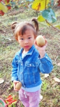 Guizhou Bi-Festival Self-planting Yellow Heart goosebumps with a large taste and sweet net weight 5 catty box clothes