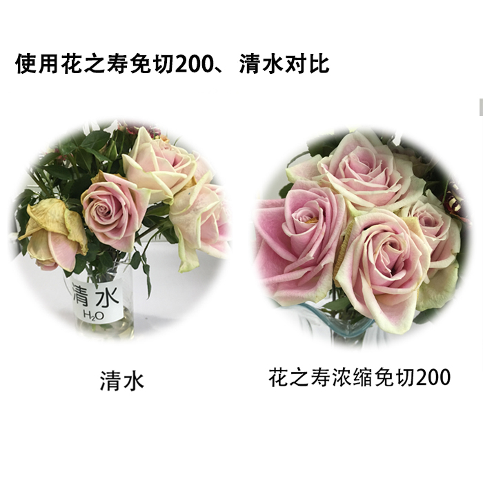 进口花之寿®免切200液体小袋鲜花保鲜剂养花营养液养料花店专用 - 图1