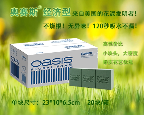 奥赛斯®花泥 oasis经济型20块装花泥 插花湿花泥鲜花泥 原奥塞斯 - 图1