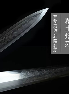 龙泉市宝剑龙神之耀剑折叠锻打一体铜柄汉剑秦剑冷兵器收藏未开刃