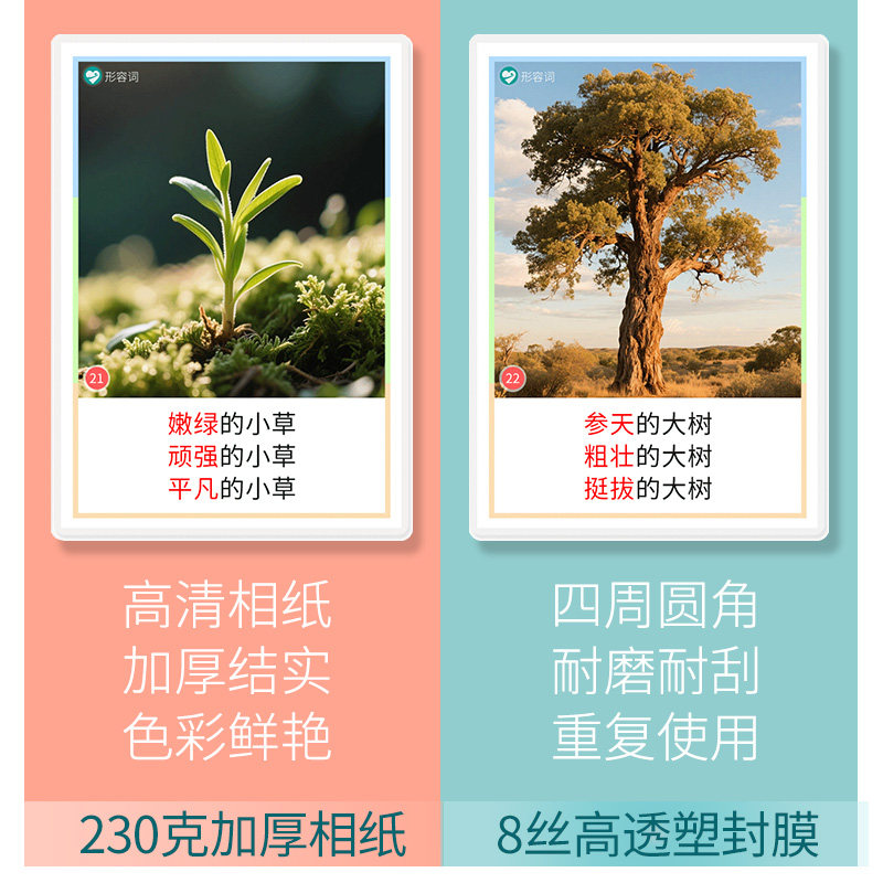 名词形容词认知卡片扩句表达能力自闭症儿童语言发育迟缓训练教具