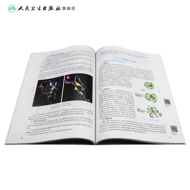 口腔生物学第五版5版人卫新版口腔十三五教材全套第八轮本科教材口腔颌面牙体牙髓口腔解剖种植人民卫生出版社口腔医学专业书籍-图3