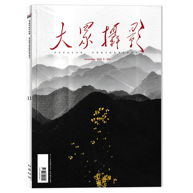 【套装可选】大众摄影杂志2026年1月可选2024/2023/2022/2021/2020年全年珍藏组合艺术时尚影像视觉数码摄影创作器材技巧知识书籍,淘宝优惠券,粉丝福利购,淘宝优惠卷