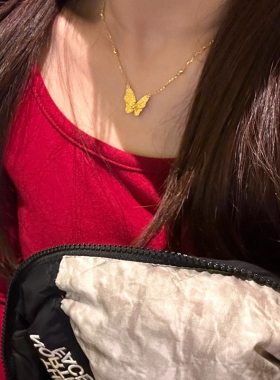 铜合金项链 花月佳期拉丝蝴蝶项链女气质质感纹理锁骨链轻奢配饰