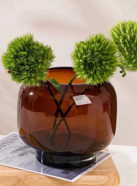 简约圆形大肚玻璃花瓶ins风创意水培花器客厅插花摆件装饰工艺品